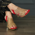 WOMEN HEELS SANDAL (SILVER)