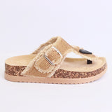 Ladies Fancy Softy Vol 2