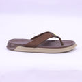MA738 BROWN
