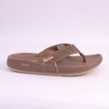 MA781 BROWN